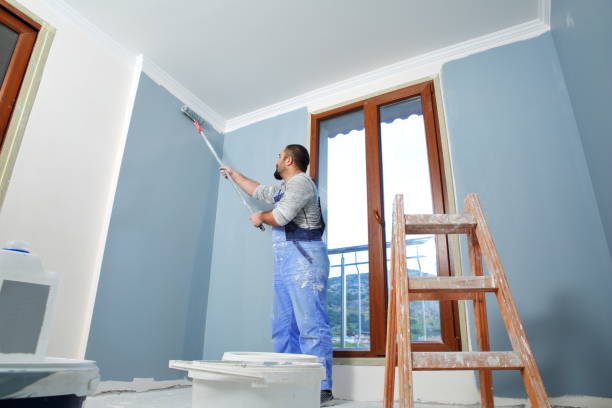 Best Wallpaper Removal and Painting  in Dowagiac, MI